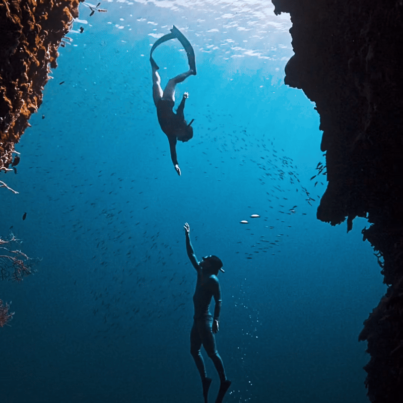 Blue Diver's Lamp™